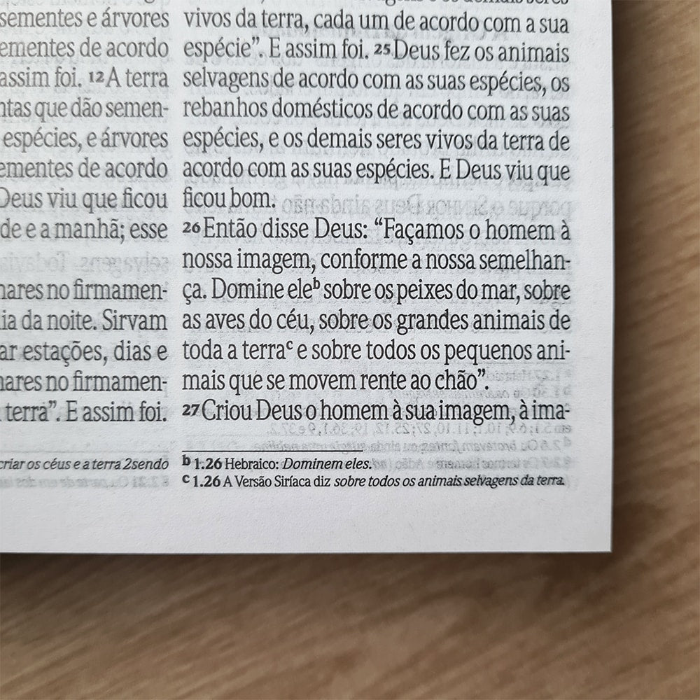 Bíblia Sagrada Leão Forte | NVI | Letra Grande | Capa Dura