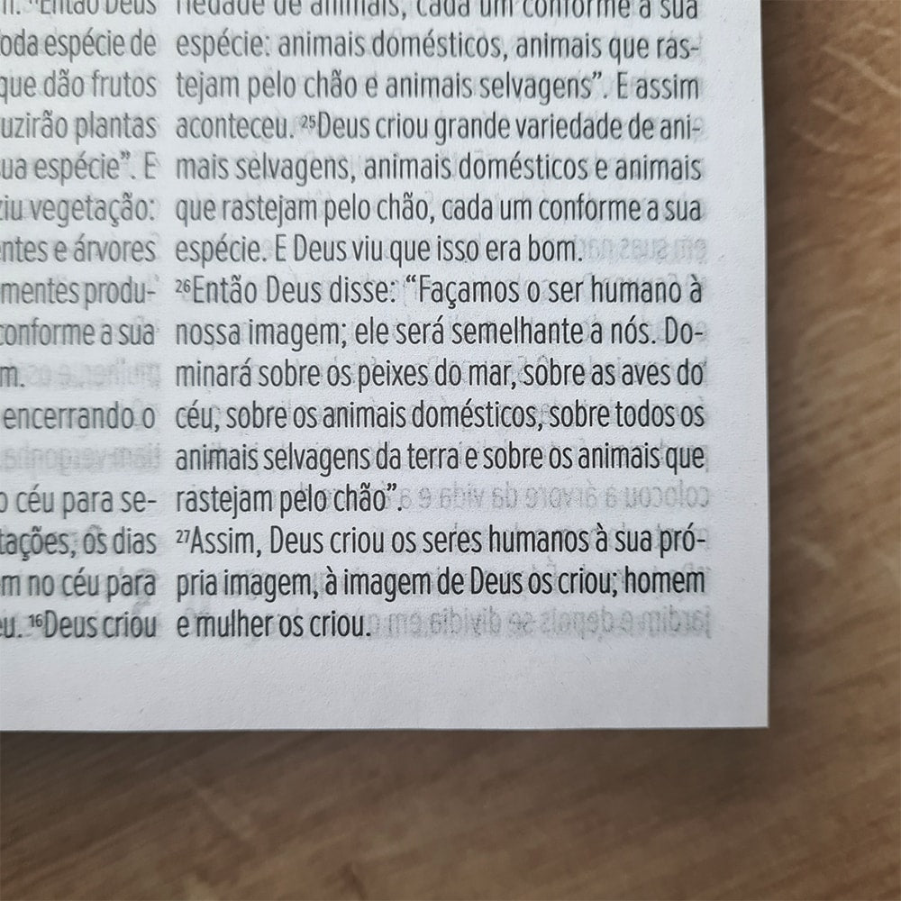 Bíblia Sagrada Ide | NVT | Letra Grande | Capa Dura