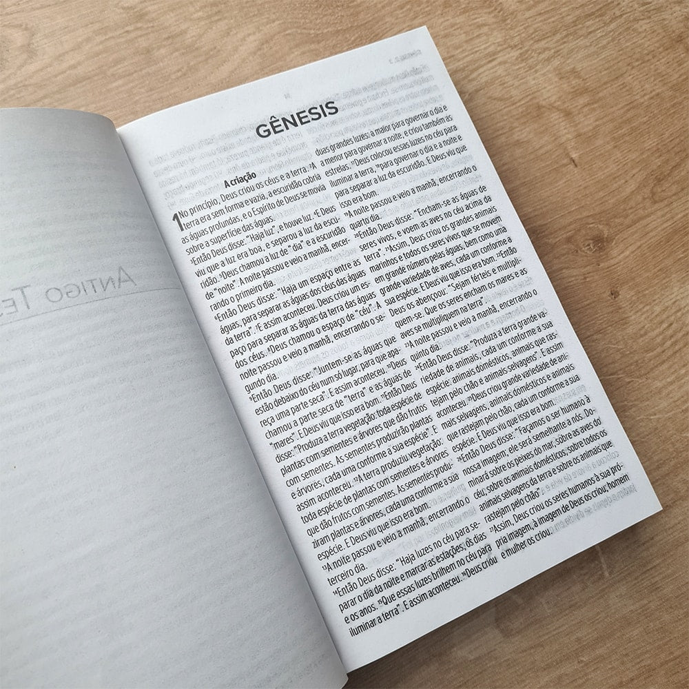 Bíblia Sagrada Luz Para o Meu Caminho | NVT | Letra Grande | Capa Dura