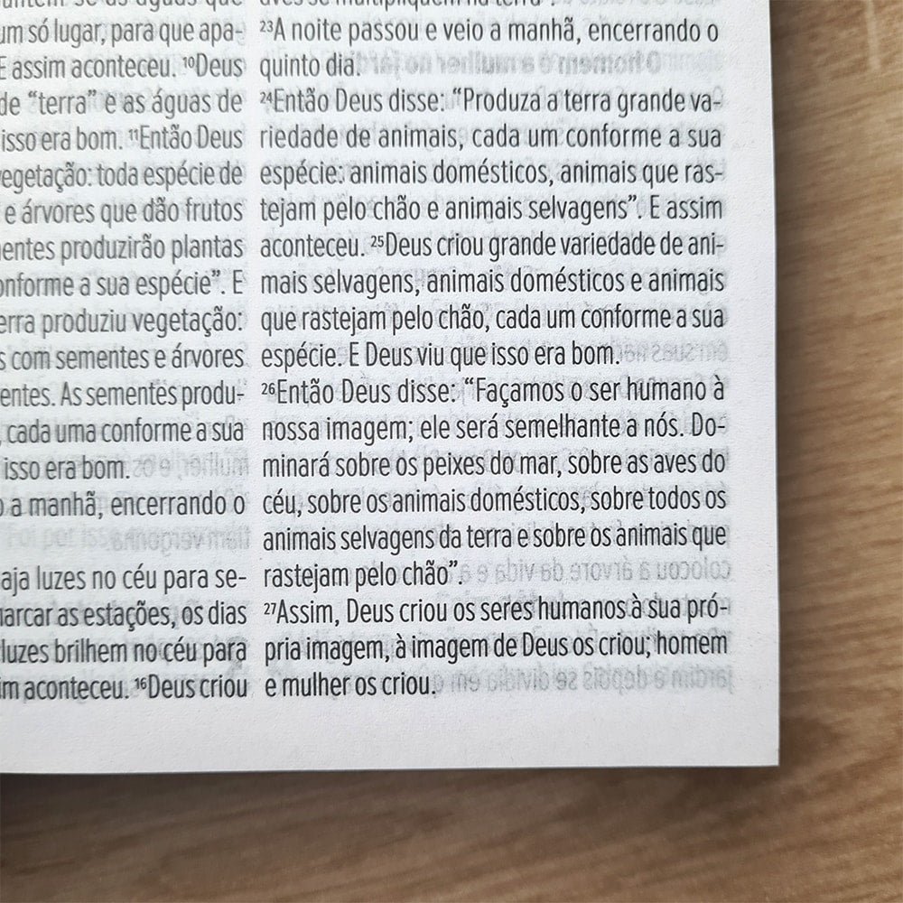 Bíblia Sagrada Tudo Crê | NVT | Letra Grande | Capa Dura