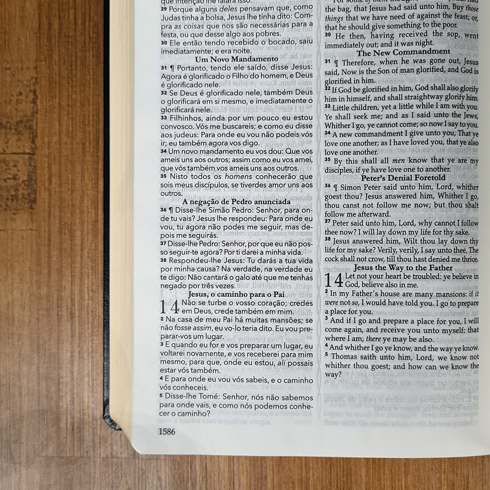 Bíblia King James 1611 | Bilíngue | Letra Normal | Capa Luxo Preta