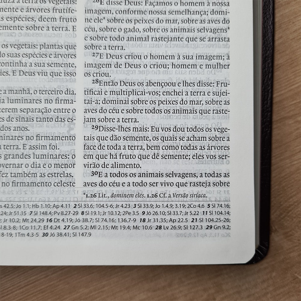 Bíblia Sagrada | A21 | Normal | C/ Referencias Cruzadas | Capa Luxo Marrom