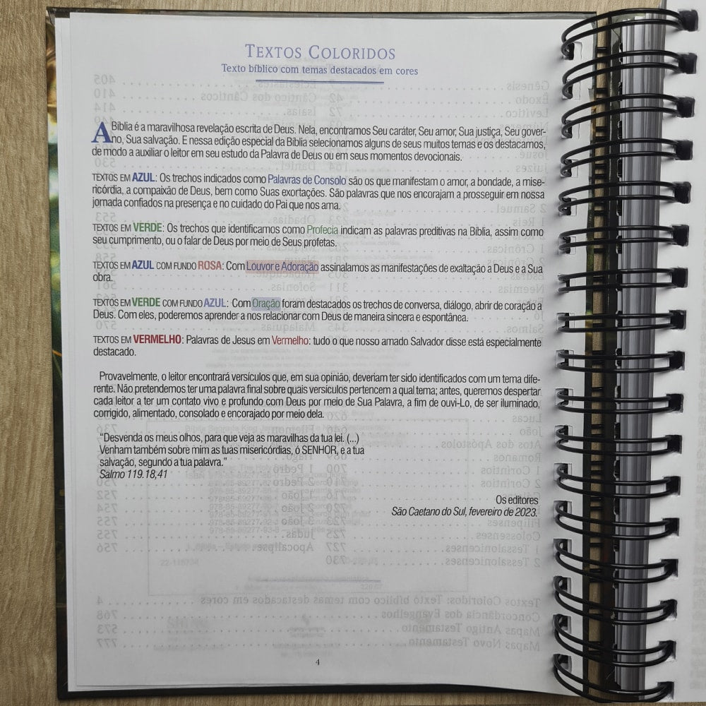Bíblia Sagrada KJA 1611 | Letra Normal | Capa Dura Verde com Preto