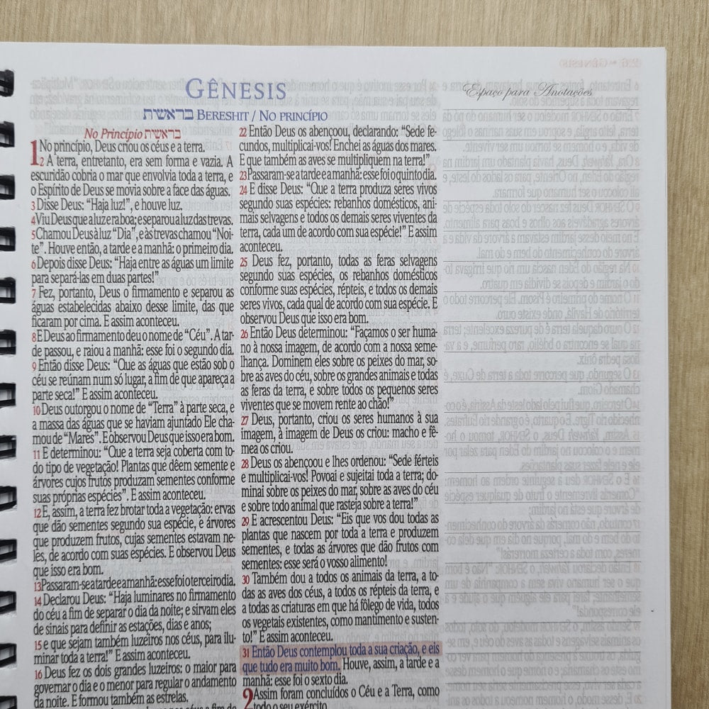 Bíblia Sagrada KJA 1611 | Letra Normal | Capa Dura Verde com Preto