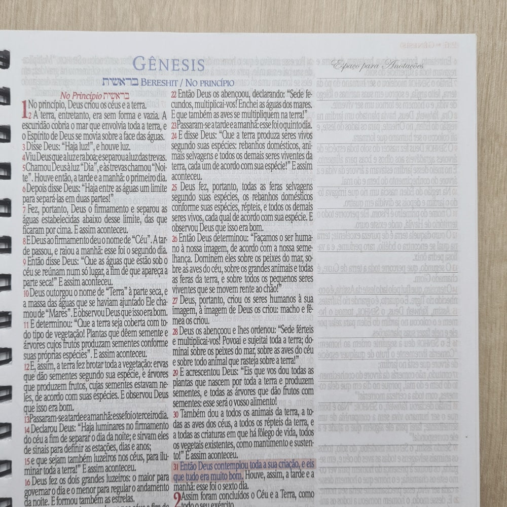 Bíblia Sagrada KJA 1611 | Letra Normal | Capa Dura Espiral Cruz