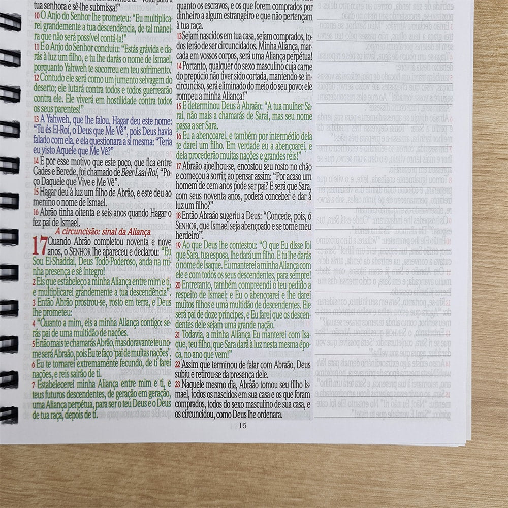 Bíblia Sagrada KJA 1611 | Letra Normal | Capa Dura Espiral Lettering