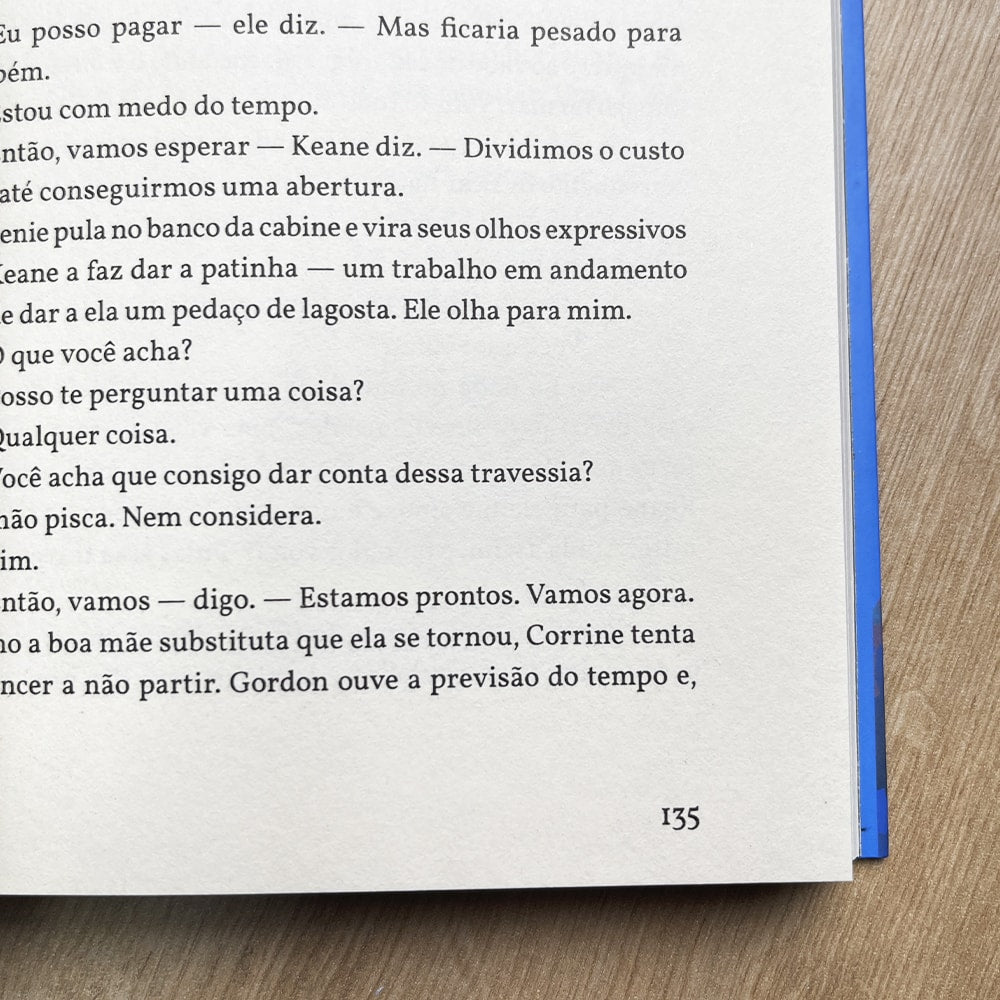 Partidas e Chegadas | Trish Doller
