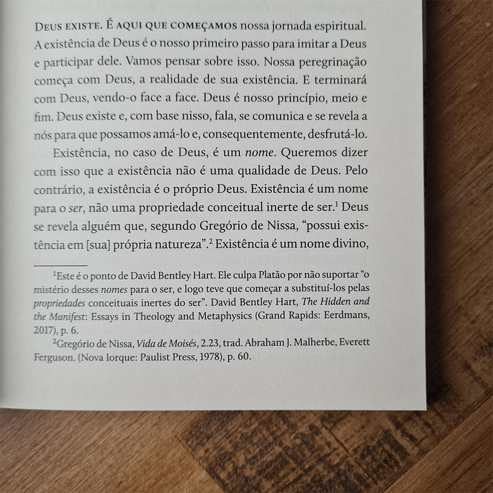 Uma Teologia da Vida Cristã | Christopher Holmes