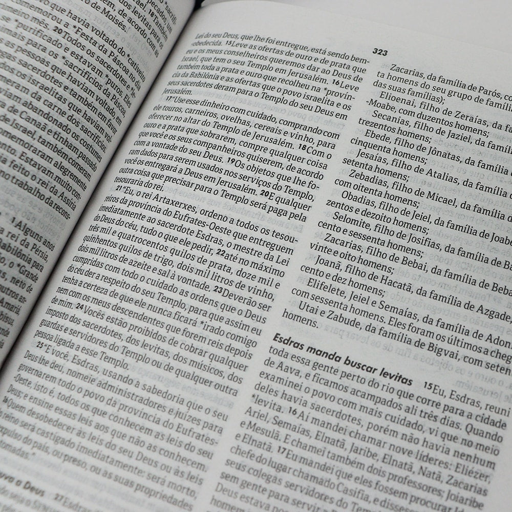 Bíblia Sagrada Cordeiro e Leão | NTLH | Letra Normal | Capa Dura Ilustrada