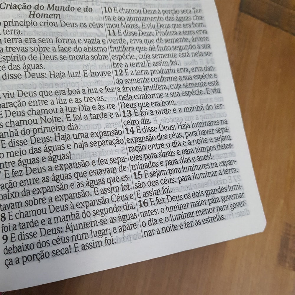 Bíblia Sagrada com Harpa Avivada e Corinhos | Letra Hipergigante | ARC | Semi-flexível Flores Havaí