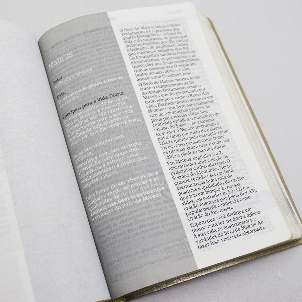 Bíblia De Estudo Joyce Meyer | NVI | Letra Grande | Capa Luxo Dourada