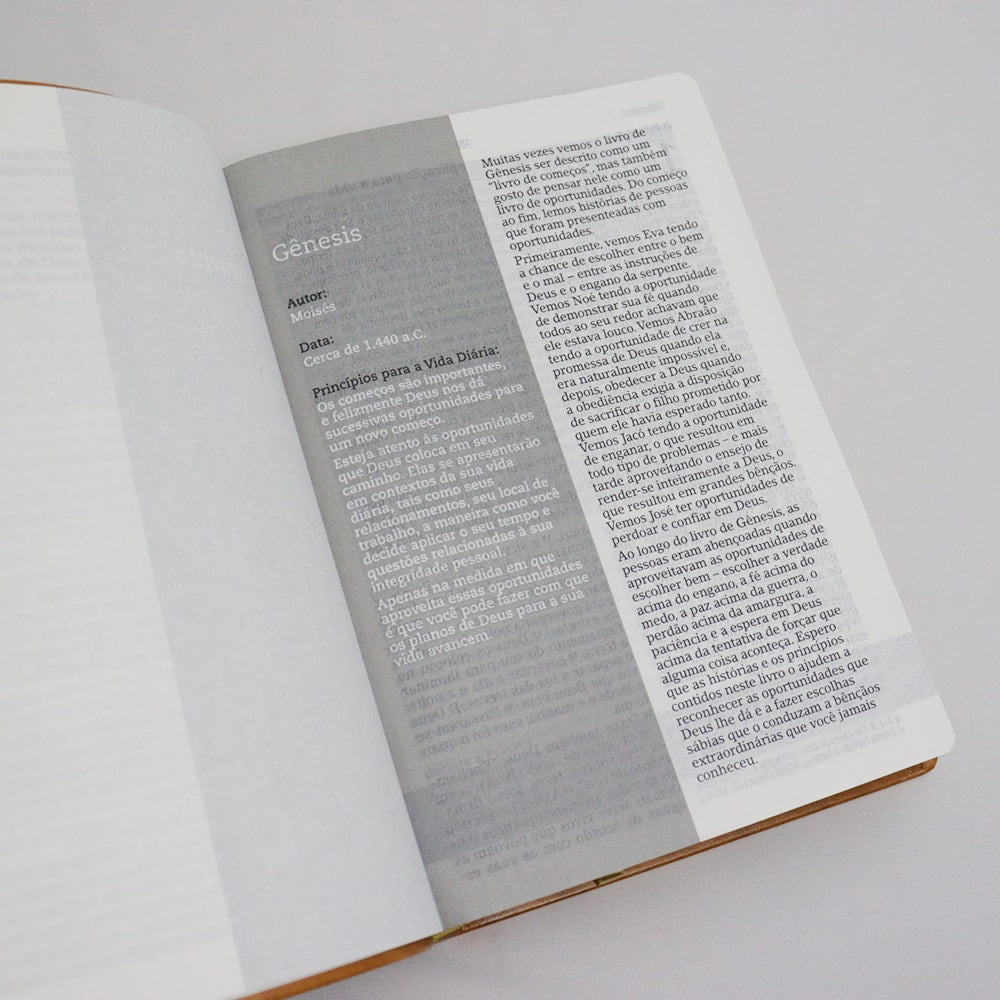 Bíblia De Estudo Joyce Meyer | NVI | Letra Grande | Capa Luxo Mostarda