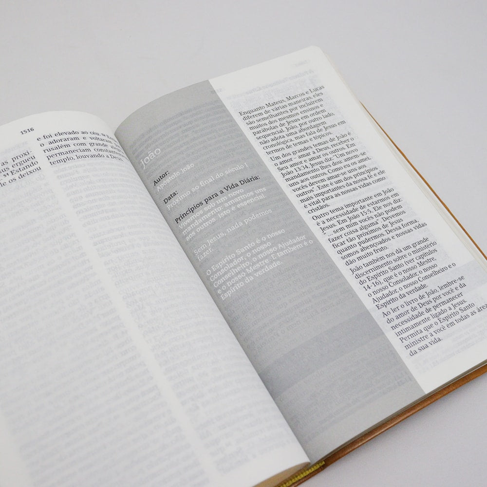 Bíblia De Estudo Joyce Meyer | NVI | Letra Grande | Capa Luxo Mostarda