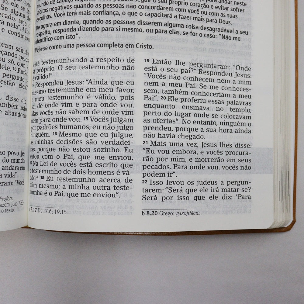 Bíblia De Estudo Joyce Meyer | NVI | Letra Grande | Capa Luxo Mostarda