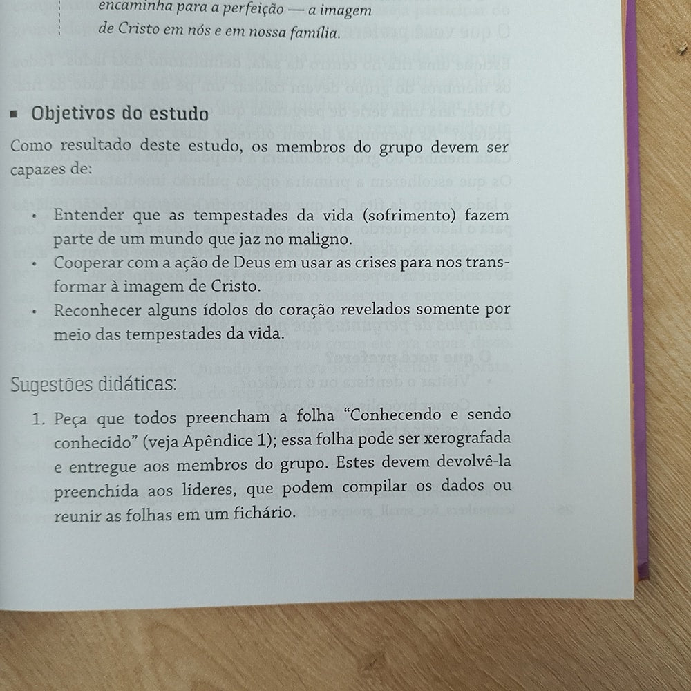15 Lições para Fortalecer sua Família | David e Carol S Merkh Ralph e Ruth Reamer