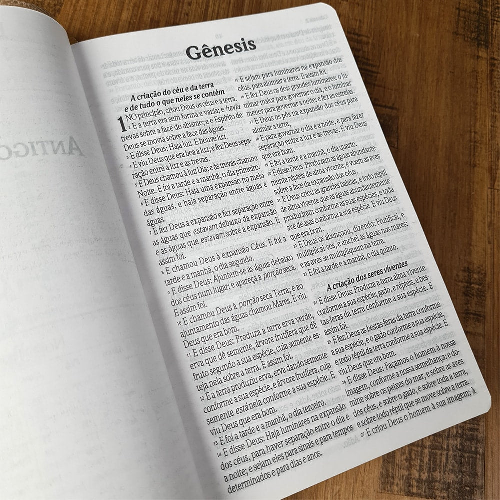Bíblia Sagrada Com Cantor Cristão | ARC | Letra Grande | Capa Luxo Champanhe