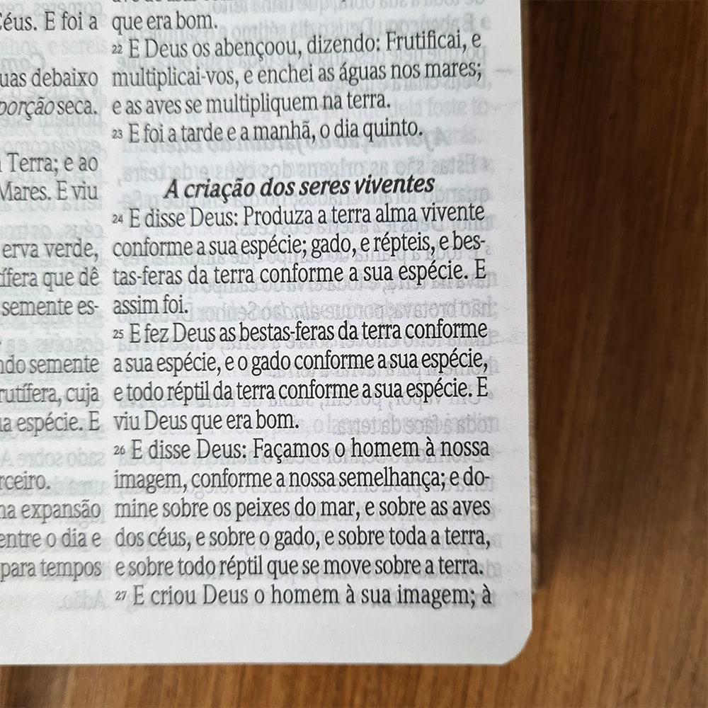 Bíblia Sagrada Com Cantor Cristão | ARC | Letra Grande | Capa Luxo Champanhe