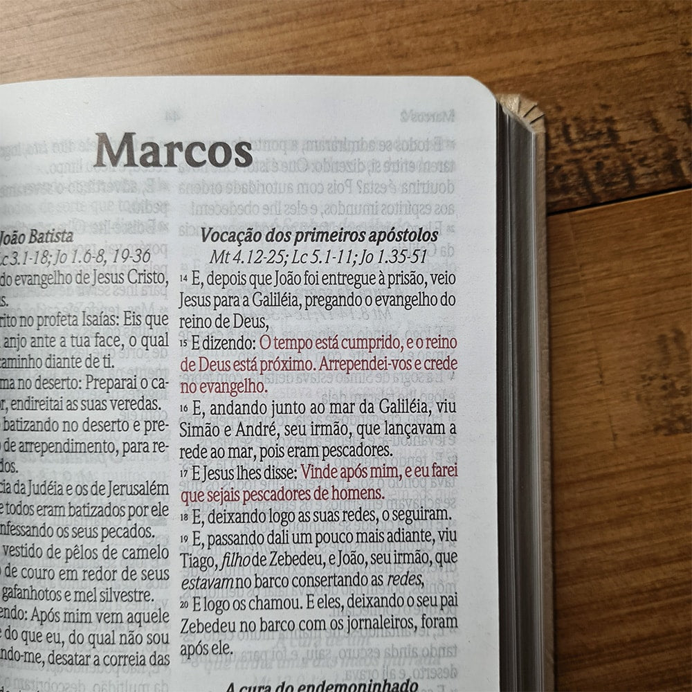 Bíblia Sagrada Com Cantor Cristão | ARC | Letra Grande | Capa Luxo Champanhe