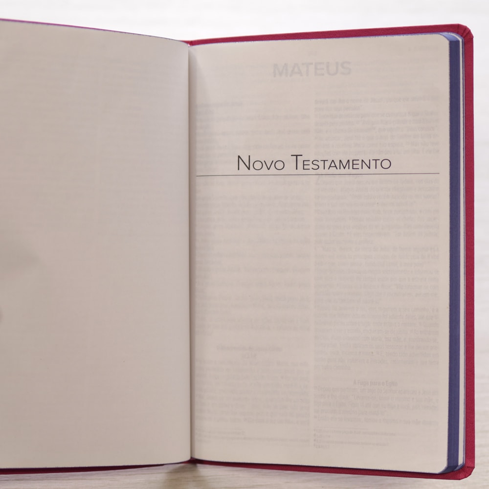 Bíblia Sagrada Slim | NVI | Letra Maior | Capa Luxo Nude