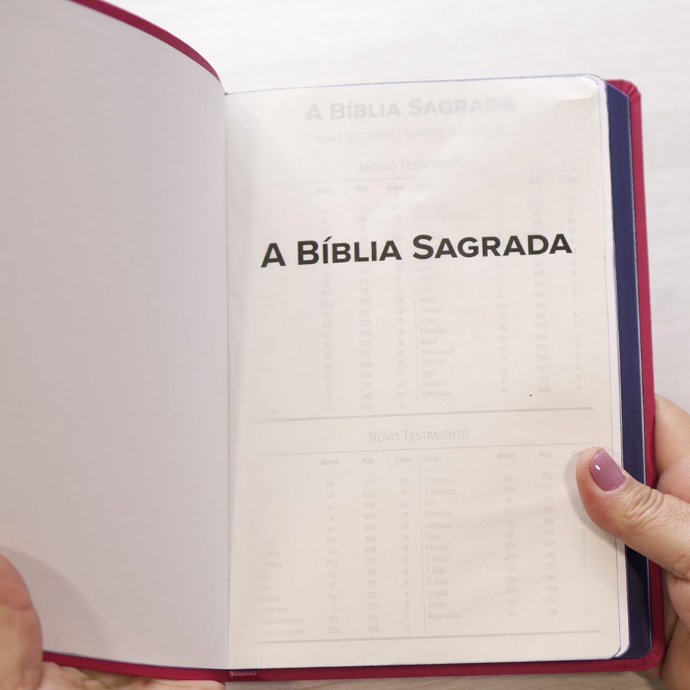 Bíblia Sagrada Slim | NVI | Letra Maior | Capa Luxo Nude