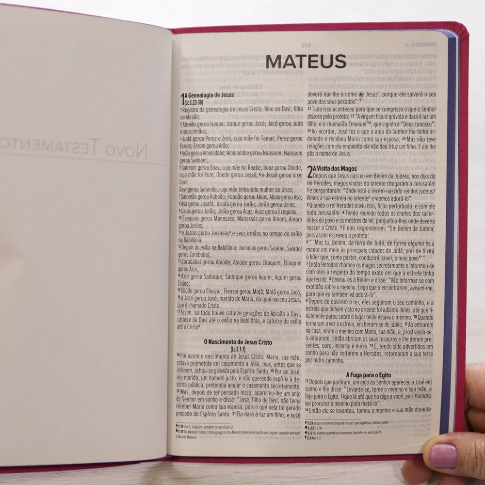 Bíblia Sagrada Slim | NVI | Letra Maior | Capa Luxo Nude