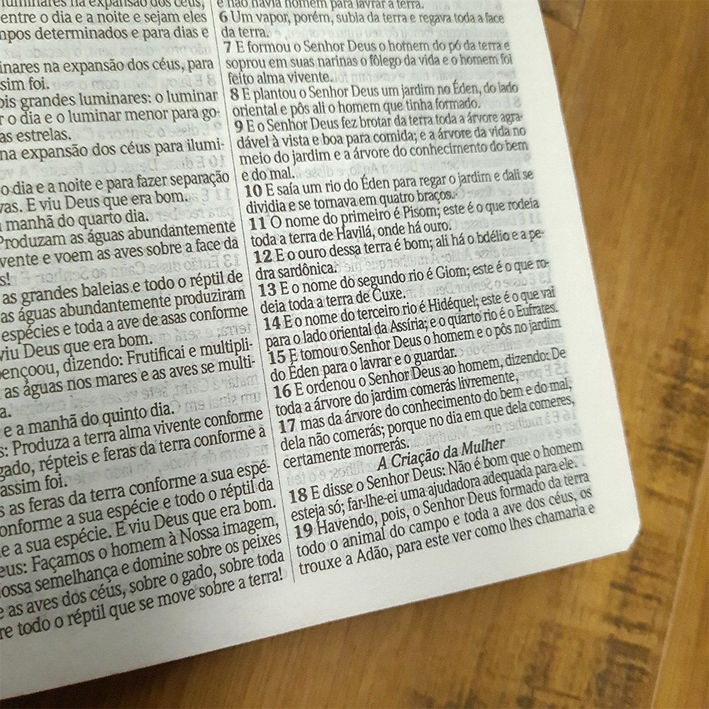 Bíblia Sagrada Slim | Harpa e Corinhos | ARC | Letra Normal | Capa Dura Arranjo Floral
