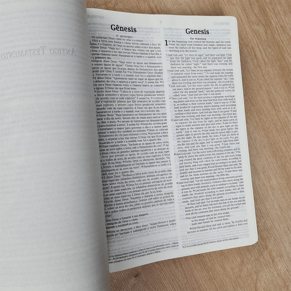 Bíblia Sagrada Holy Bible | Português e Inglês | NVI | Letra Normal | Capa Luxo Marrom