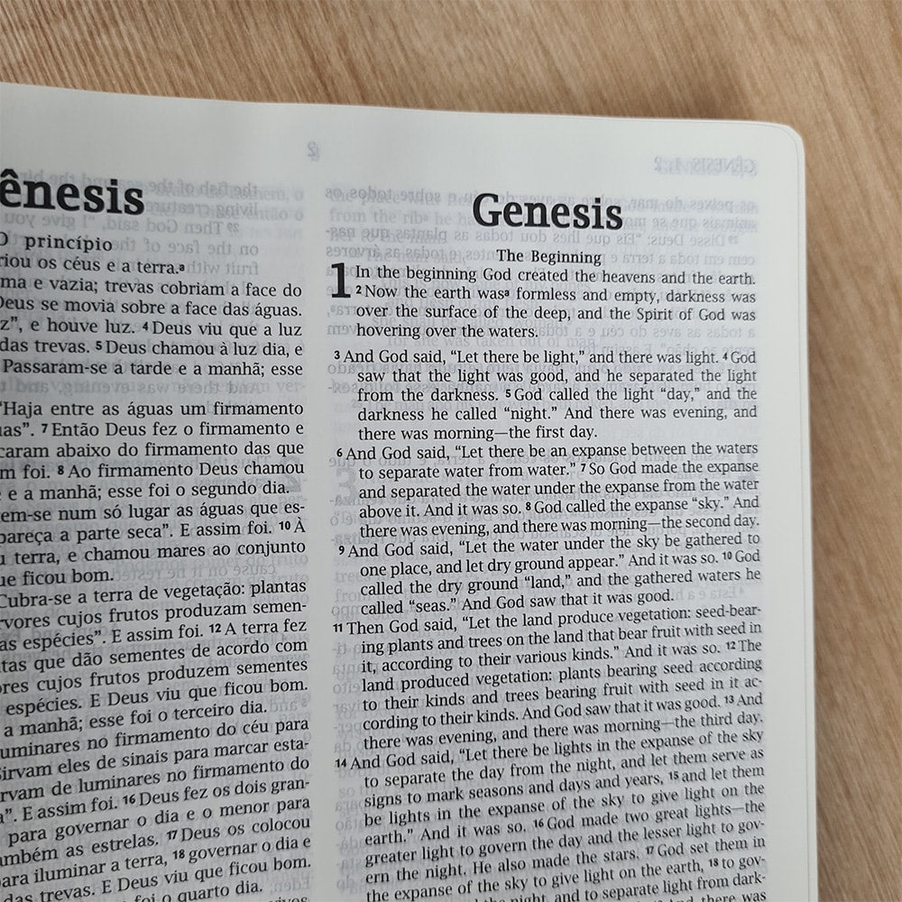Bíblia Sagrada Holy Bible | Português e Inglês | NVI | Letra Normal | Capa Luxo Marrom