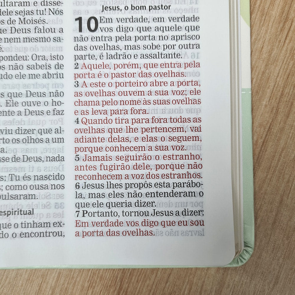 Bíblia Sagrada | AEC | Letra Gigante | Capa Semi Luxo Verde Estampada