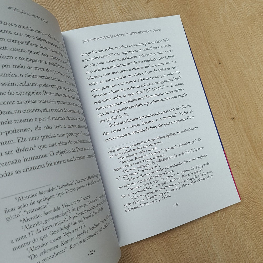 Instrução no Amor Cristão | Martin Bucer