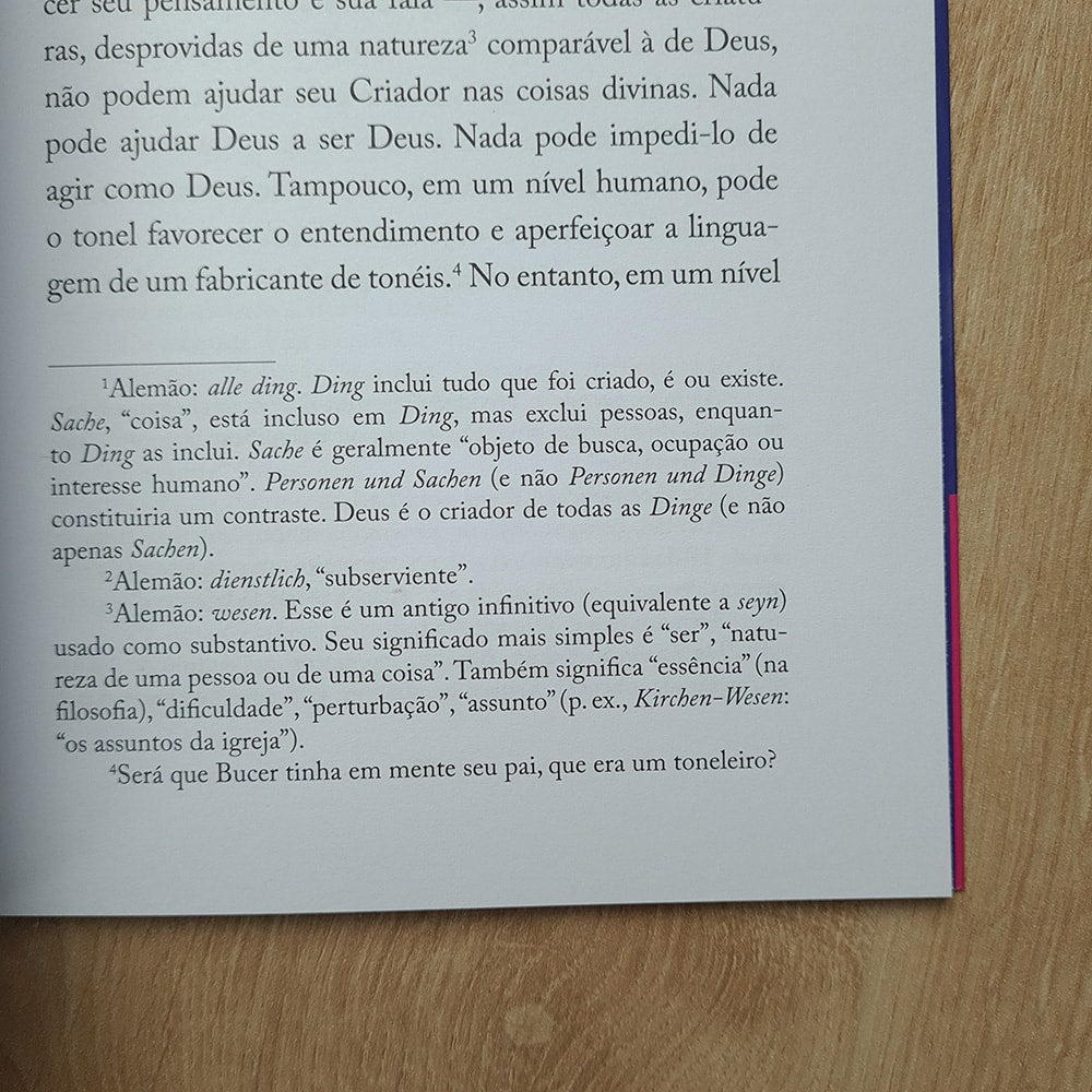 Instrução no Amor Cristão | Martin Bucer