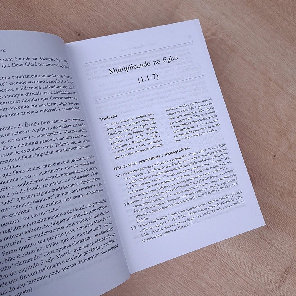 Comentários do Antigo Testamento | Êxodo | Victor P Hamilton