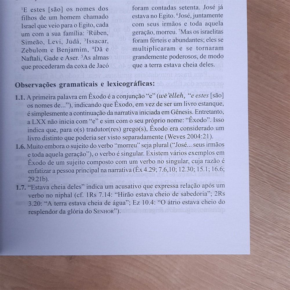 Comentários do Antigo Testamento | Êxodo | Victor P Hamilton