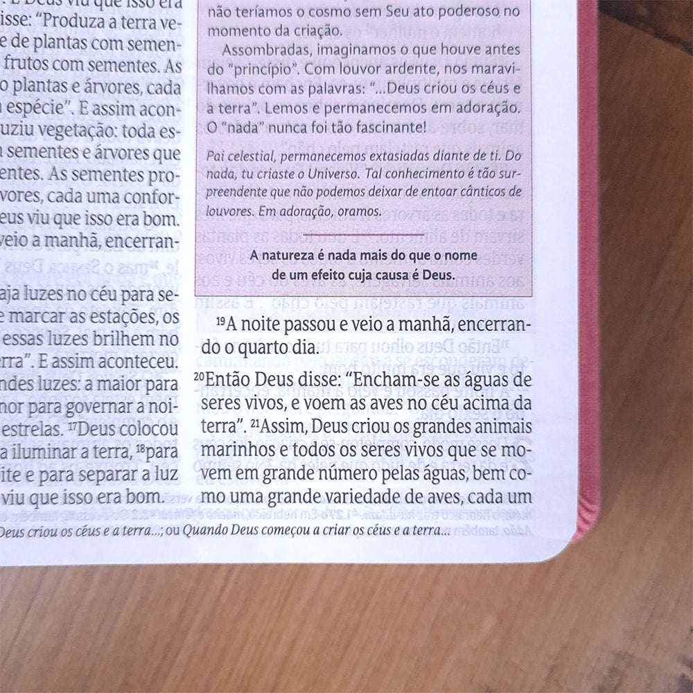Bíblia de Estudos da Mulher | NVT | Letra Normal | Capa Luxo Rosa