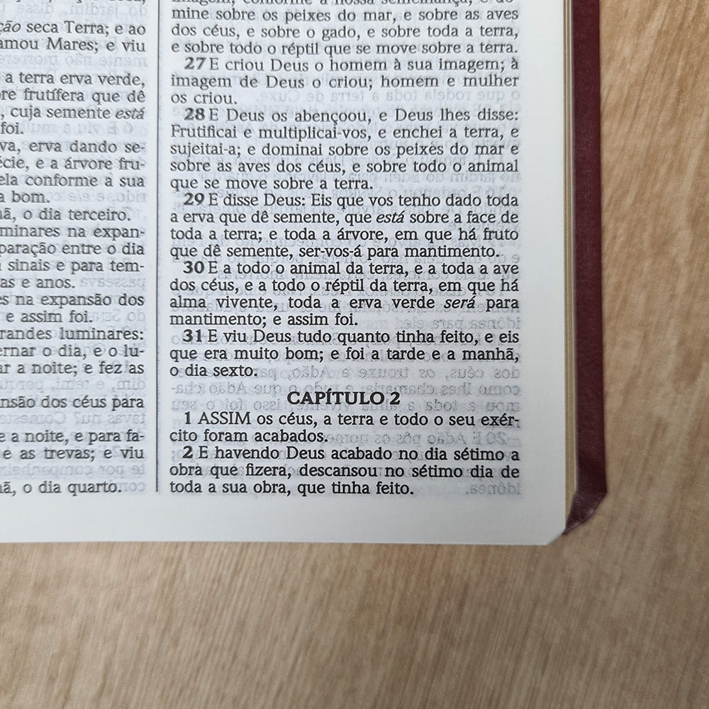Bíblia Sagrada Slim | ACF | Letra Média | Capa Vinho Luxo