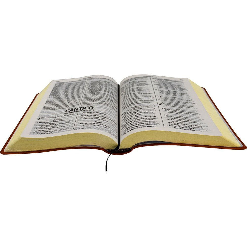 Bíblia Sagrada Economica | ARA | Letra Gigante | Capa Vermelho Luxo