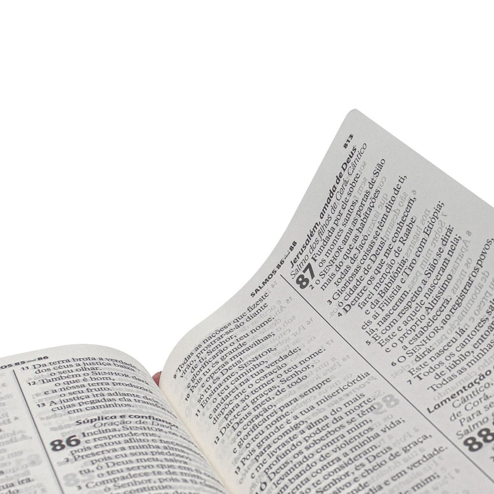 Bíblia Sagrada | ARA | Letra Gigante | Capa Luxo Pink