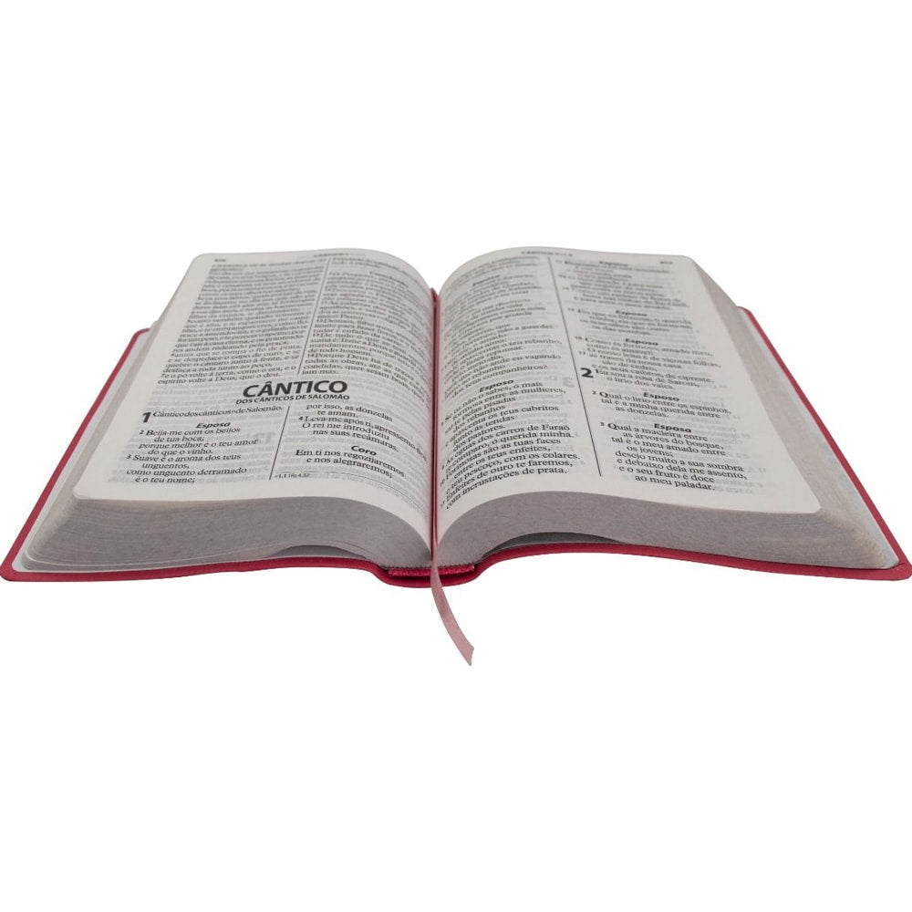 Bíblia Sagrada | ARA | Letra Gigante | Capa Luxo Pink