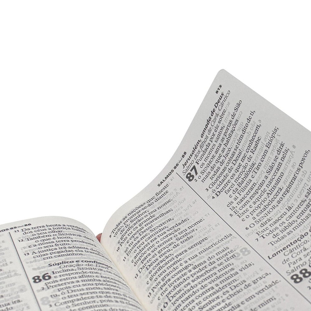 Bíblia Sagrada Economica | ARA | Letra Gigante | Capa Vinho Luxo