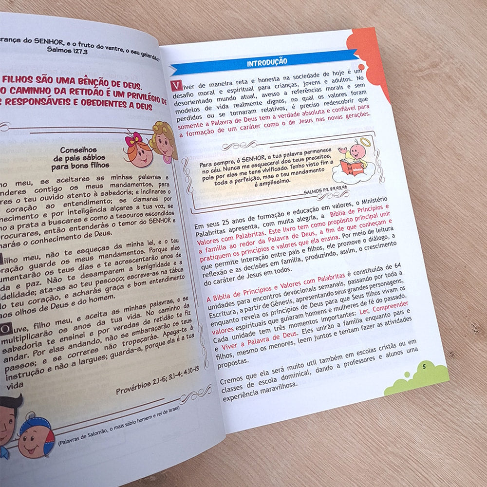 Bíblia de Princípios e Valores | Palabritas | Capa Brochura