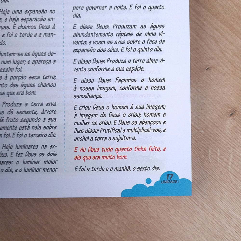 Bíblia de Princípios e Valores | Palabritas | Capa Brochura