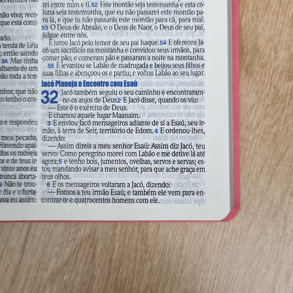 Bíblia Slim | ARC | Letra Normal | Capa Semiflexíve Pink e Rosa