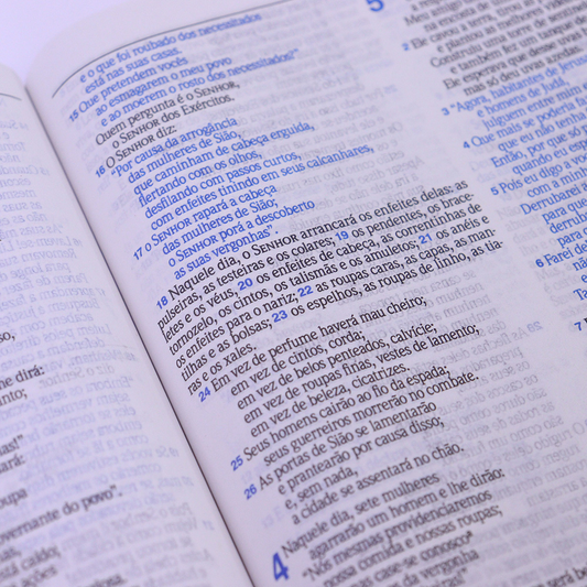 Bíblia Slim | NVI | Letra Normal | Capa Semiflexível Preta e Azul