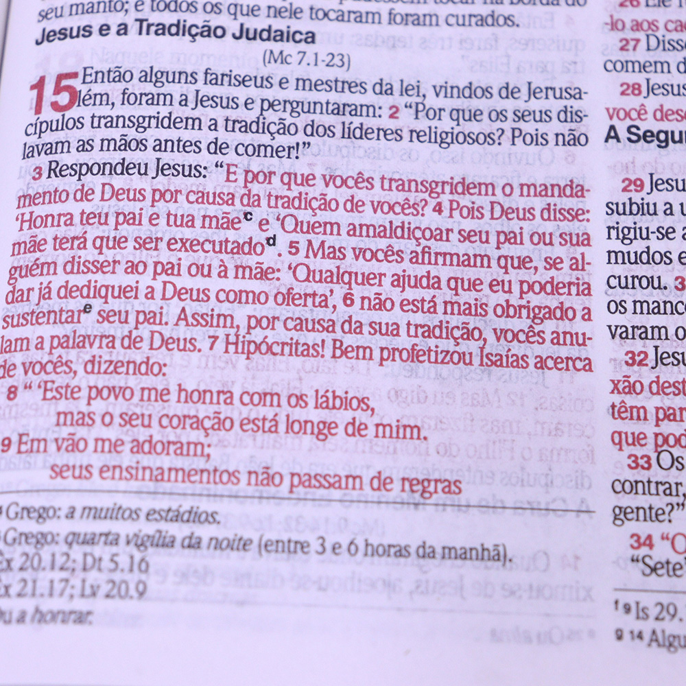 Bíblia Slim | NVI | Letra Normal | Capa Semiflexível Preta e Azul