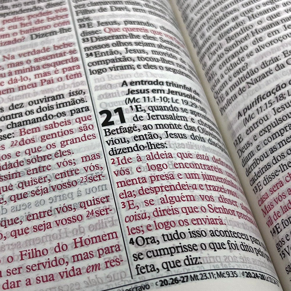 Bíblia Sagrada Economica | ARC | Letra Gigante | Capa Vermelho Luxo