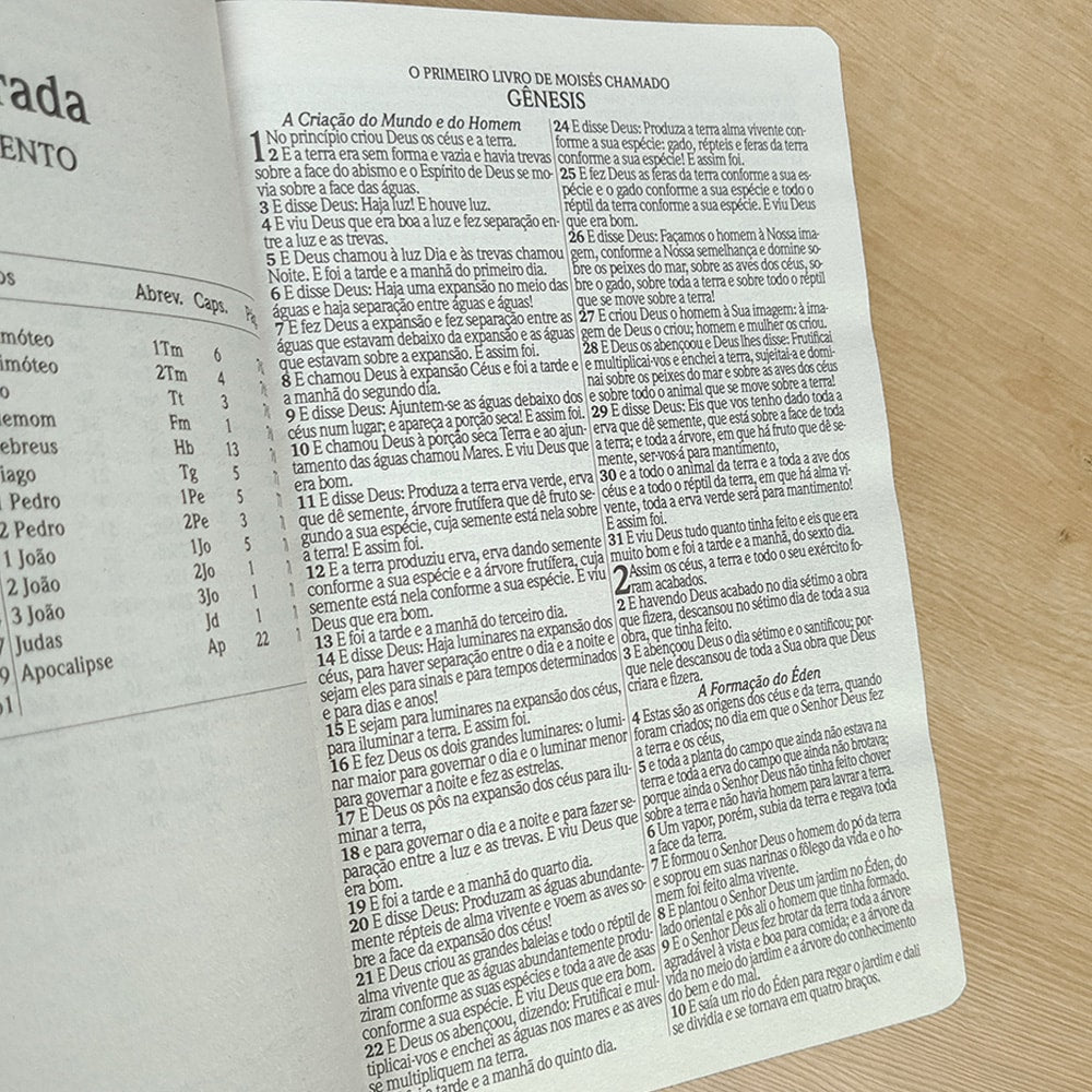 Bíblia Sagrada | ARC | Harpa Avivada e Corinhos | Letra Gigante | Capa Dura Floral Neon