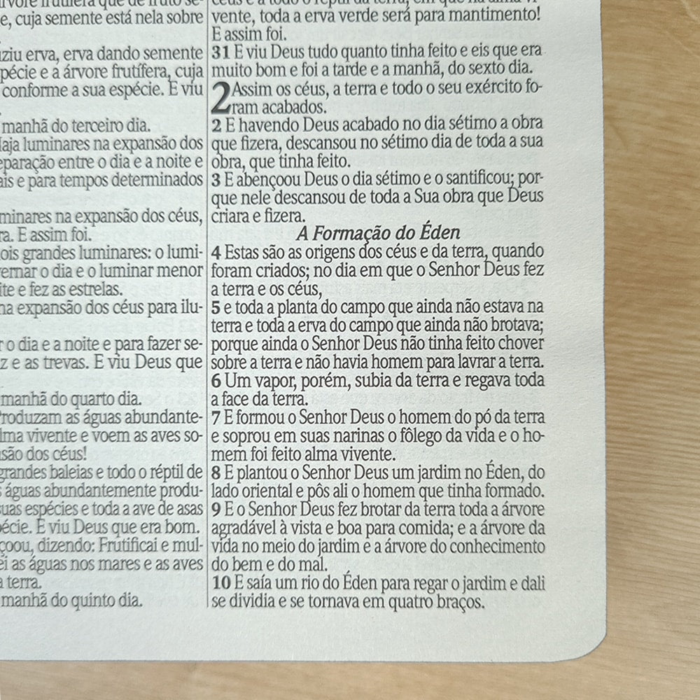 Bíblia Sagrada | ARC | Harpa Avivada e Corinhos | Letra Gigante | Capa Dura Floral Neon