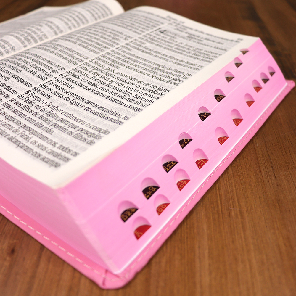 Bíblia Sagrada | ARC | Letra Jumbo | Capa Luxo Rosa | Harpa Avivada e Corinhos