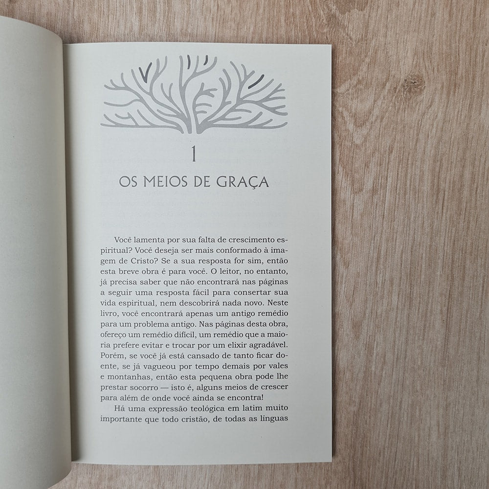 Meios Essenciais de Graça | Paul Washer
