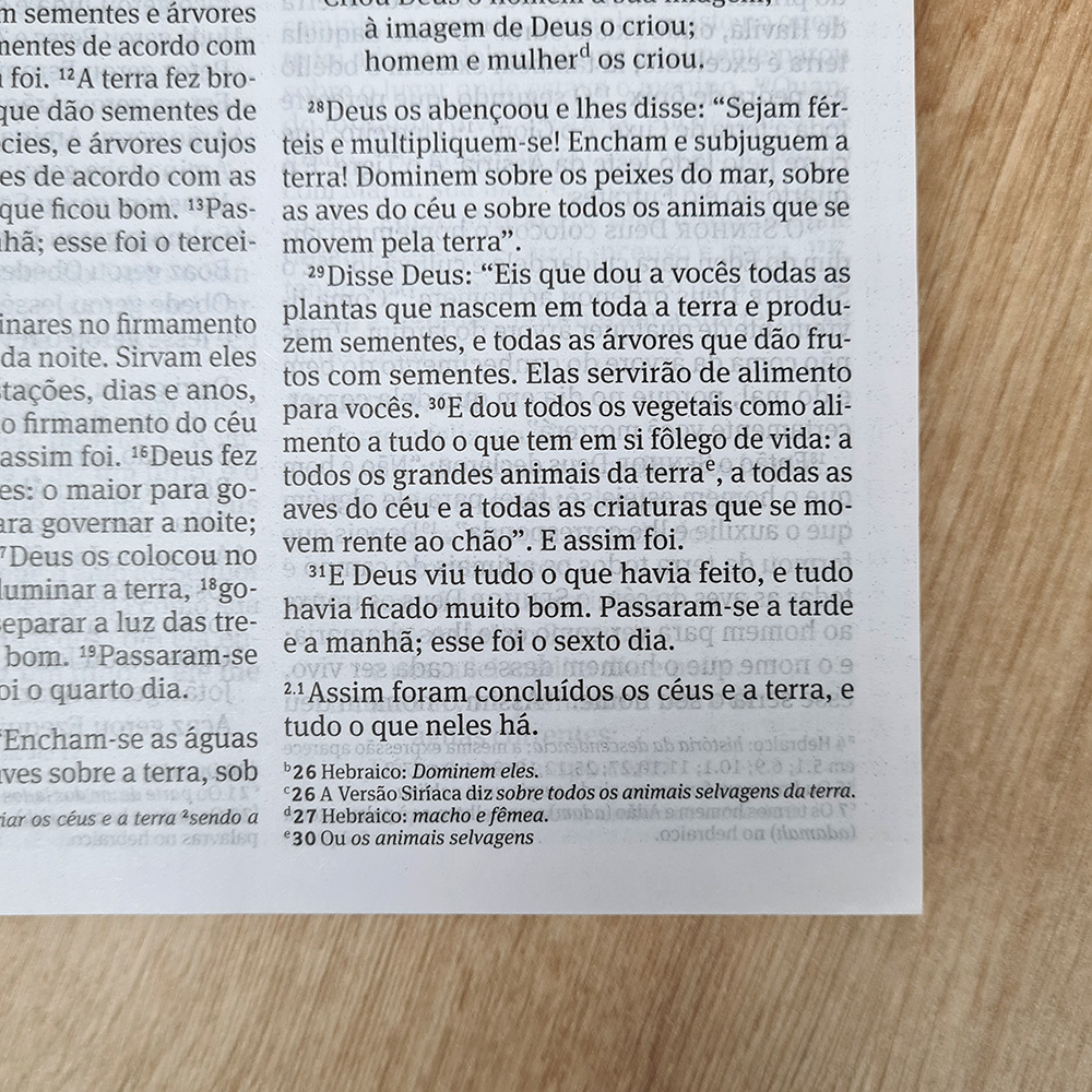 Bíblia 365 Clássica Minimalista | NVI | Letra Grande | Capa Brochura